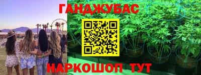 MDMA Новозыбков