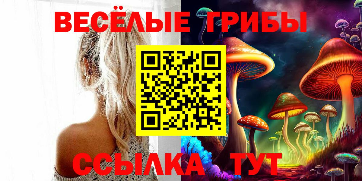 Торжок  Галлюциногенные грибы прущие грибы  Вход с VPN 
